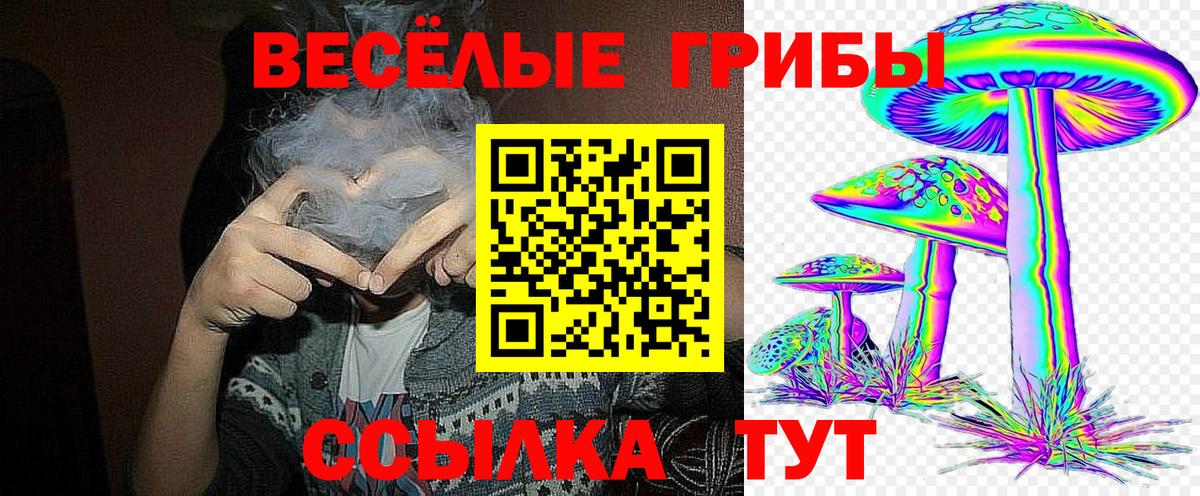Петровск  Псилоцибиновые грибы мухоморы  купить закладку  Вход с VPN 